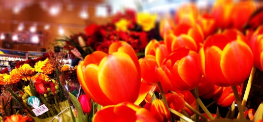 flower shop
